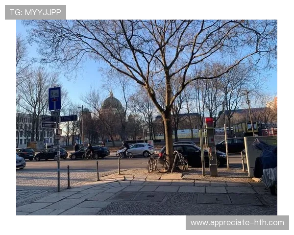 围绕柏林联俱乐部解析其崛起路径与未来发展挑战全景深度观察视角