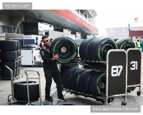 F1赛场风云再起各车队争冠格局突变新星与老将激烈碰撞引关注